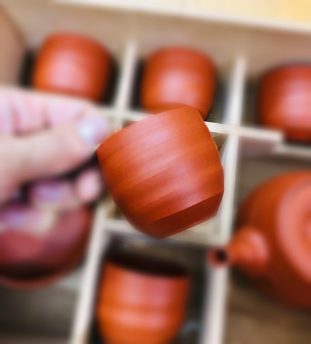 355281658_652727546898076_774022146503921114_n