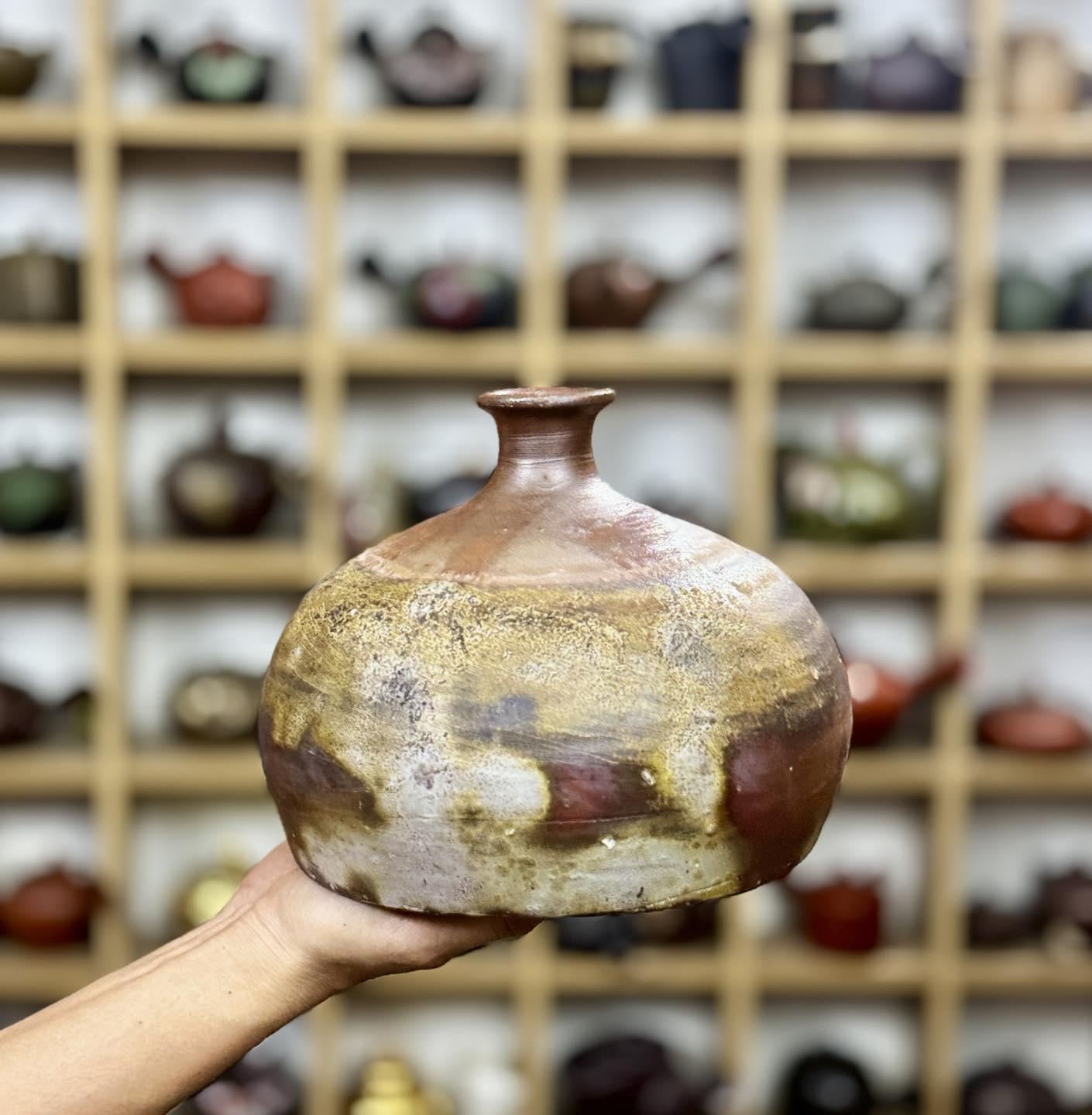 434829027_831173589053470_2533755755368785355_n